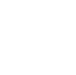 westing house authorized logo